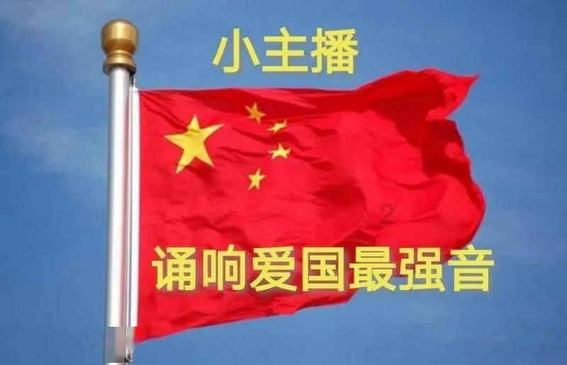 救援可爱小松鼠