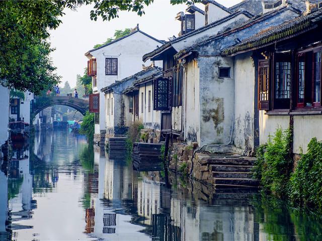 逃出蜜蜂岛